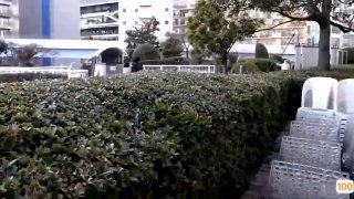 大J8黑人 视频在房地产当置业顾问，上班期间被发微信撩骚，没忍住直接去厕所干她一炮！